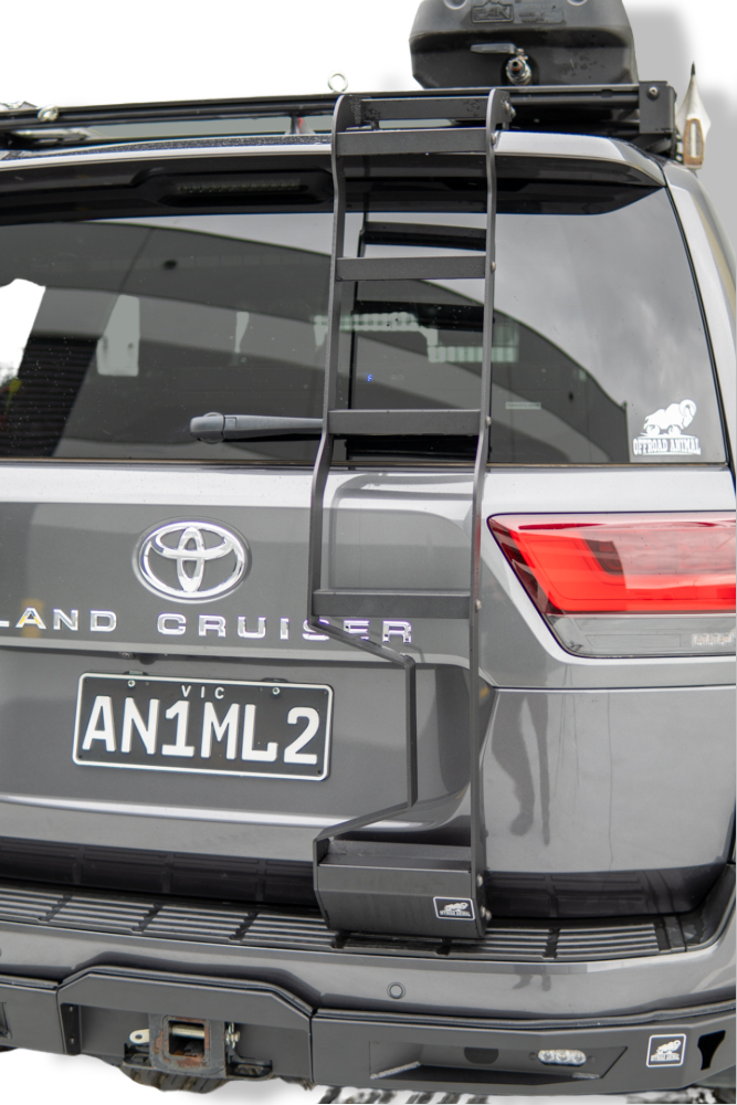 LC300 rear door ladder