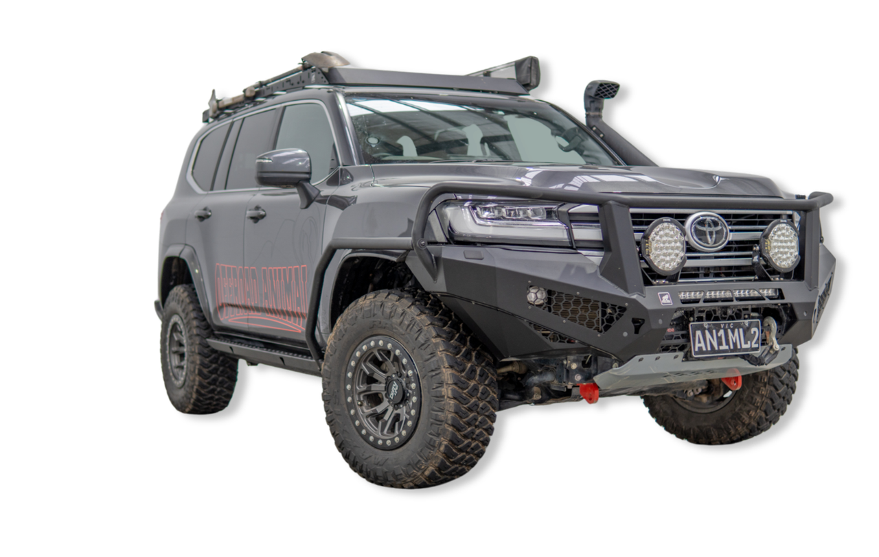 LC300 Brush rails and steps
