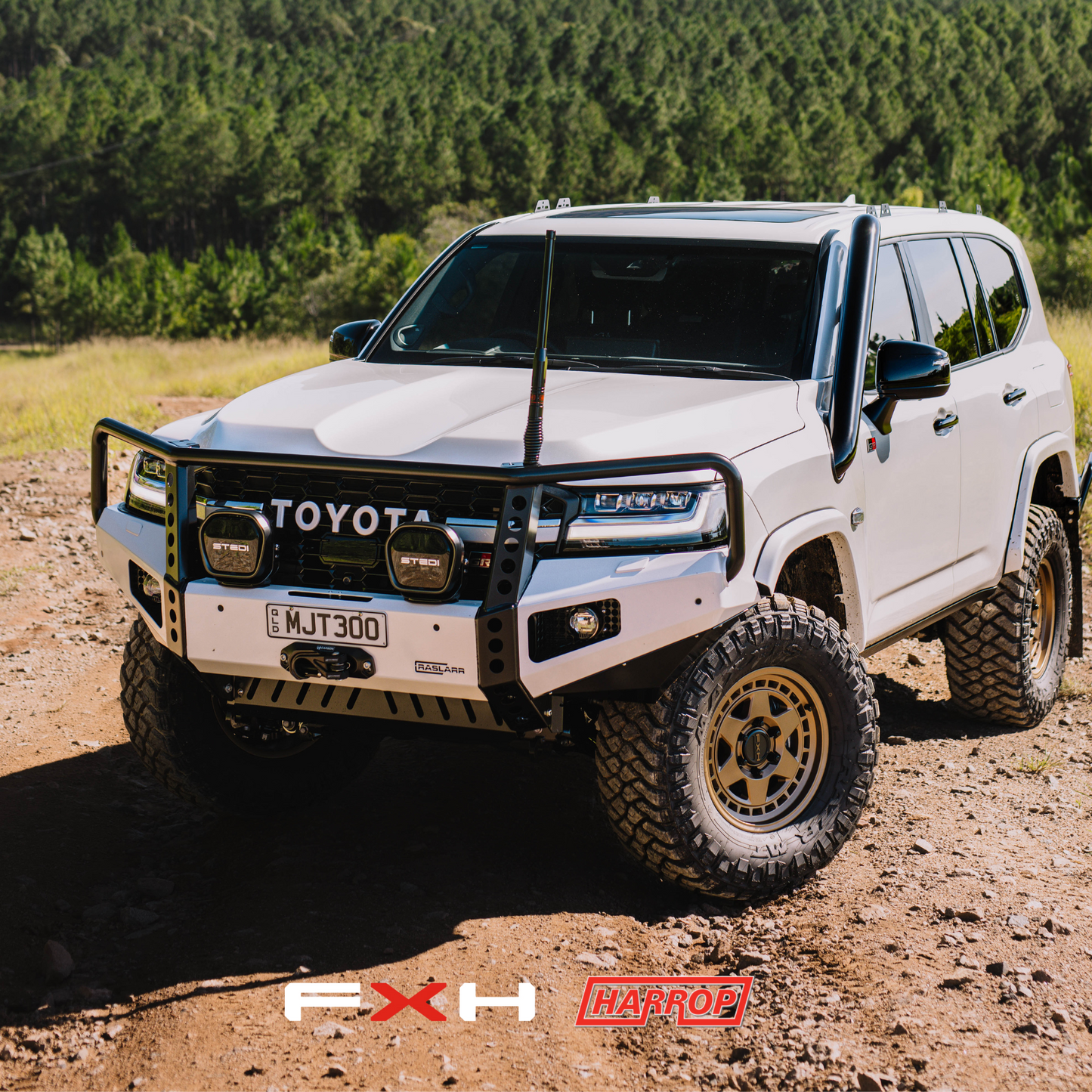 300 Series Toyota Landcruiser Hooped (Dallas) Bull Bar