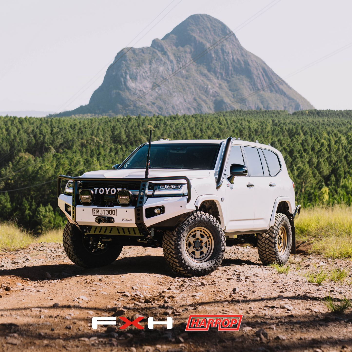 300 Series Toyota Landcruiser Hooped (Dallas) Bull Bar