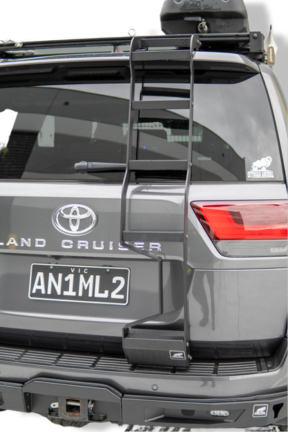 LC300 rear door ladder