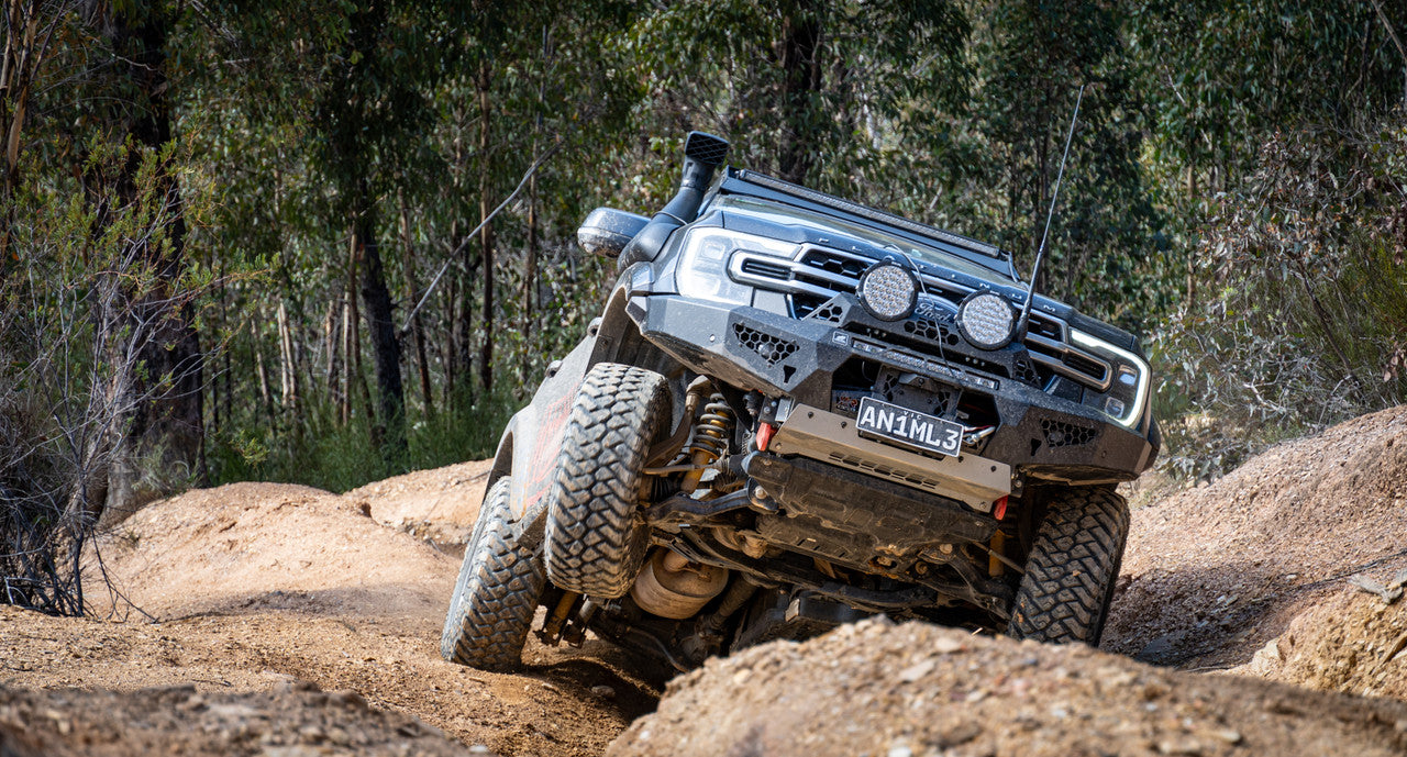 Predator bar with Flare caps, Rally hoop and lights