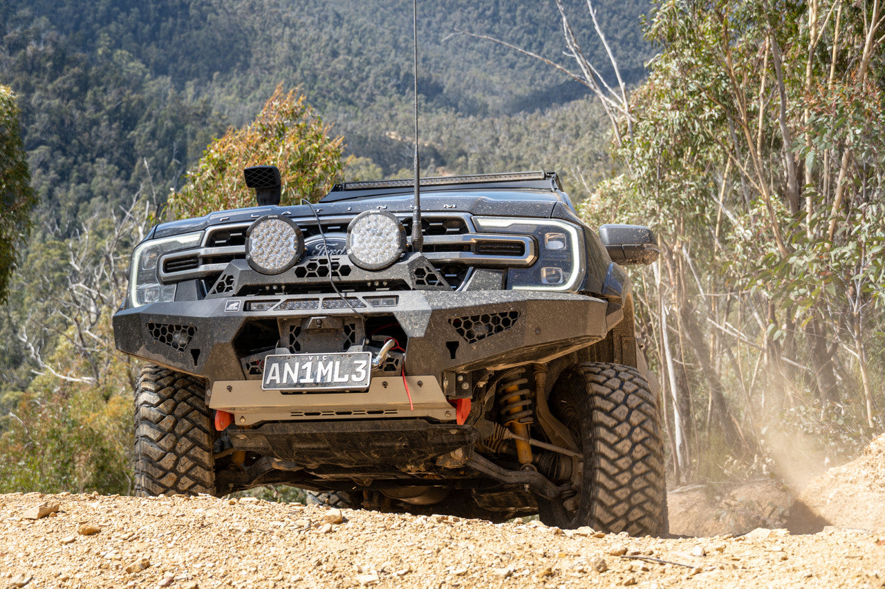 Predator bar with Flare caps, Rally hoop and lights