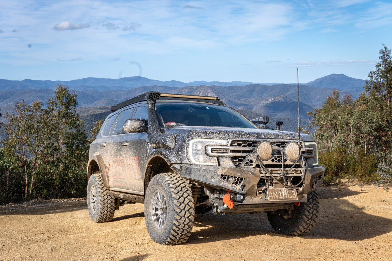 Predator bar with Flare caps, Rally hoop and lights