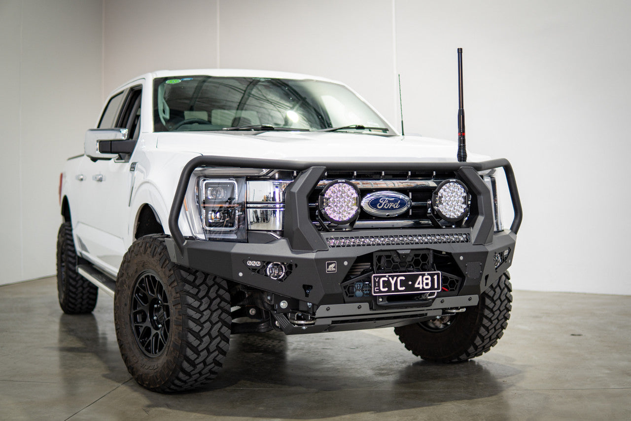 F150 Toro Bar with driving lights