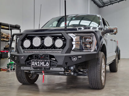 F150 Toro Bar with driving lights