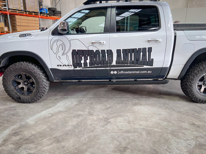 Ram DT rock sliders