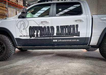 Ram DT rock sliders