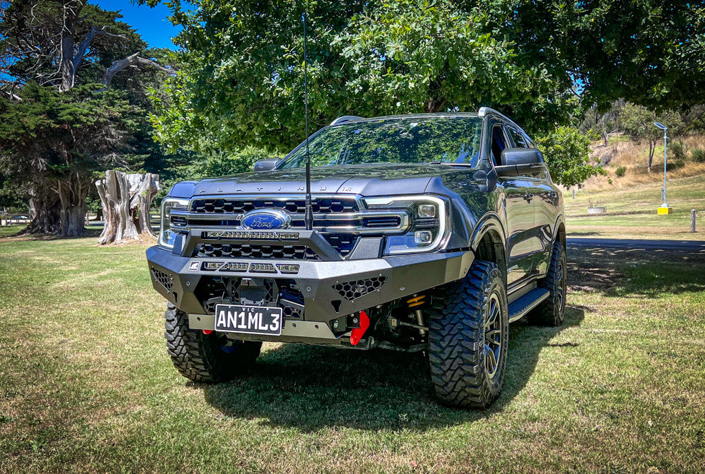Predator Bar with optional lights and Stealth Hoop