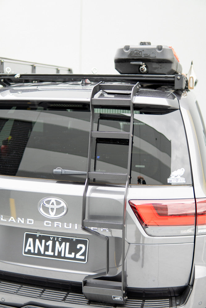LC300 rear door ladder