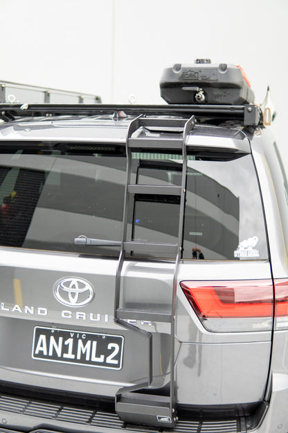 LC300 rear door ladder
