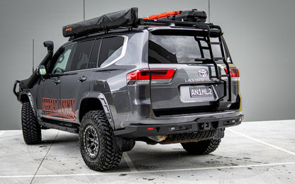 LC300 rear door ladder