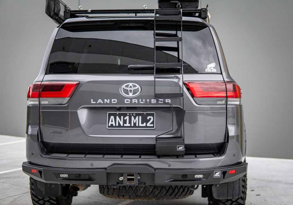LC300 rear door ladder