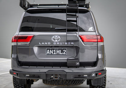 LC300 rear door ladder