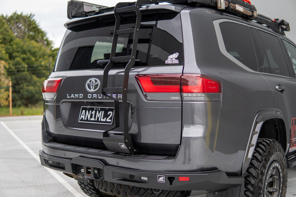 LC300 rear door ladder