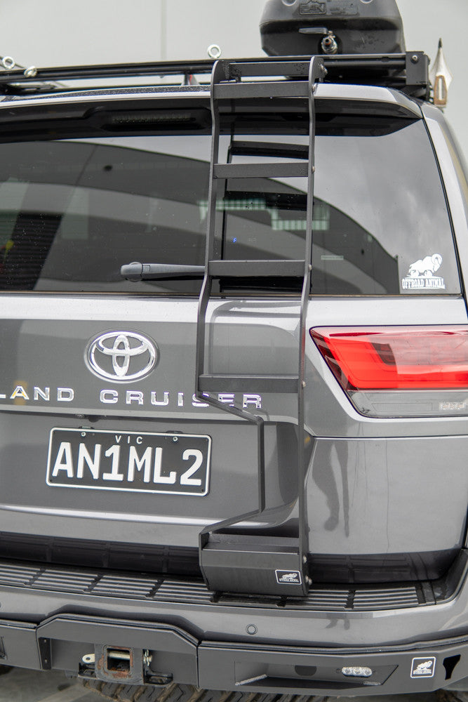 LC300 rear door ladder