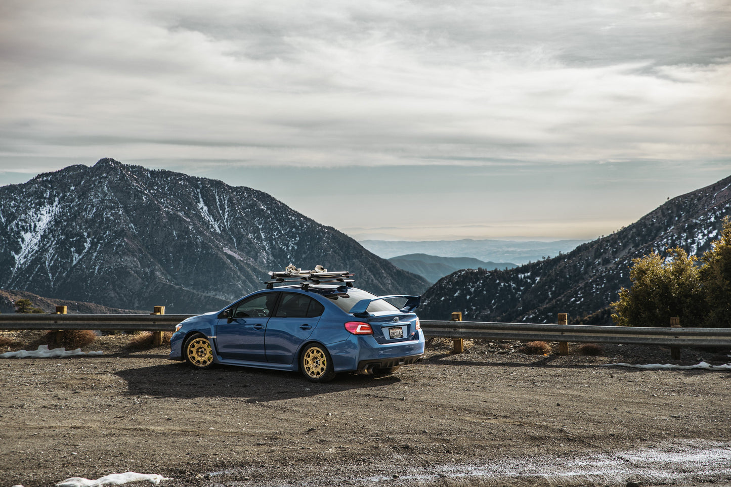 502 | Rally | Gold