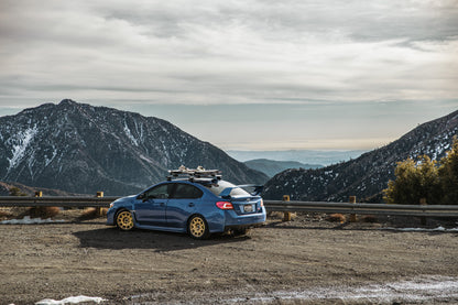 502 | Rally | Gold