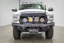 Quad Rally hoop to suit Predator bull bar