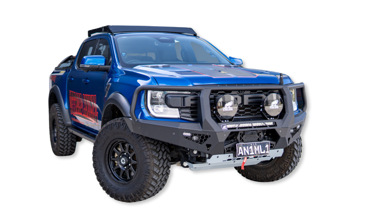 Toro bull bar with optional lights