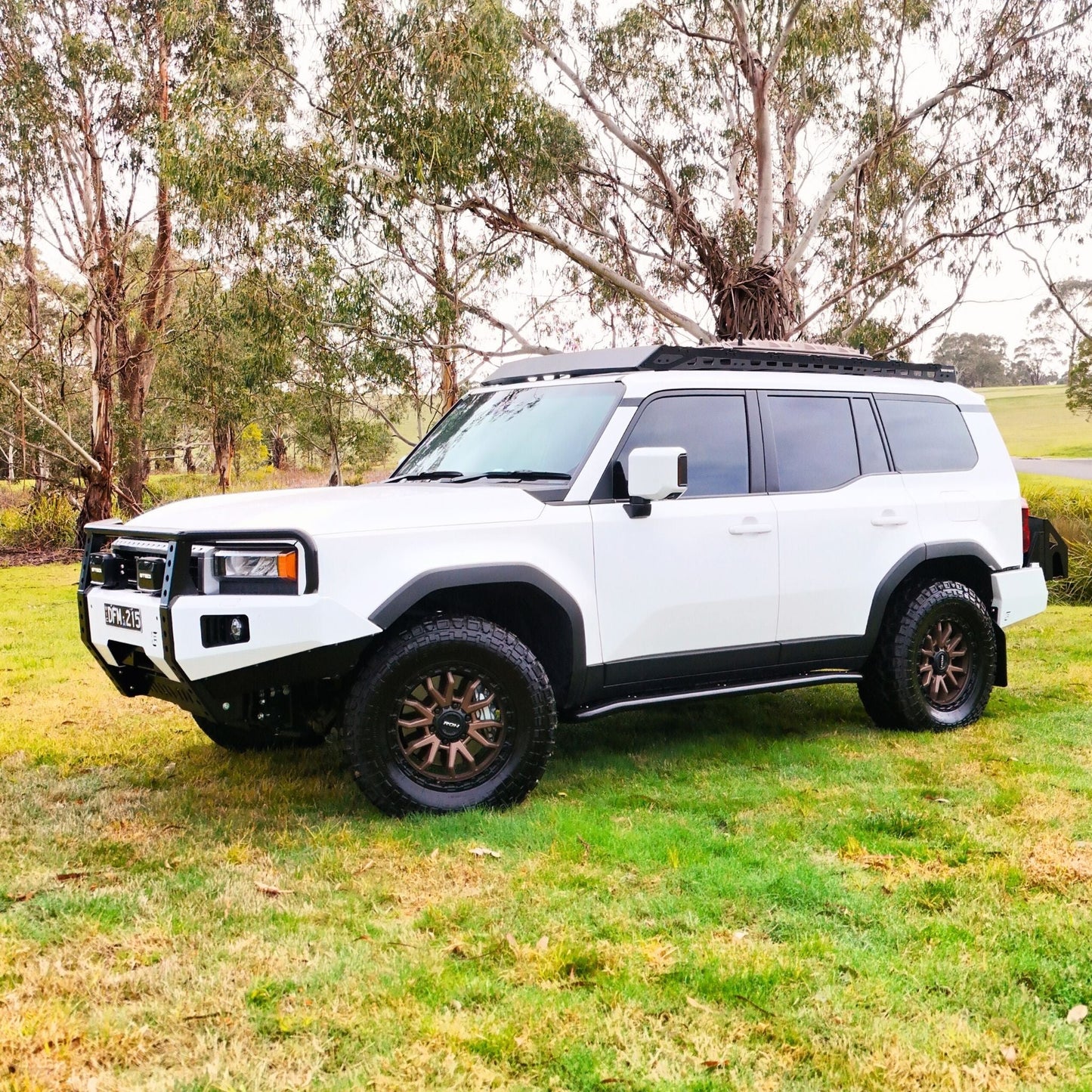 250 Series Toyota Landcruiser Prado Hooped (Dallas) Bull Bar