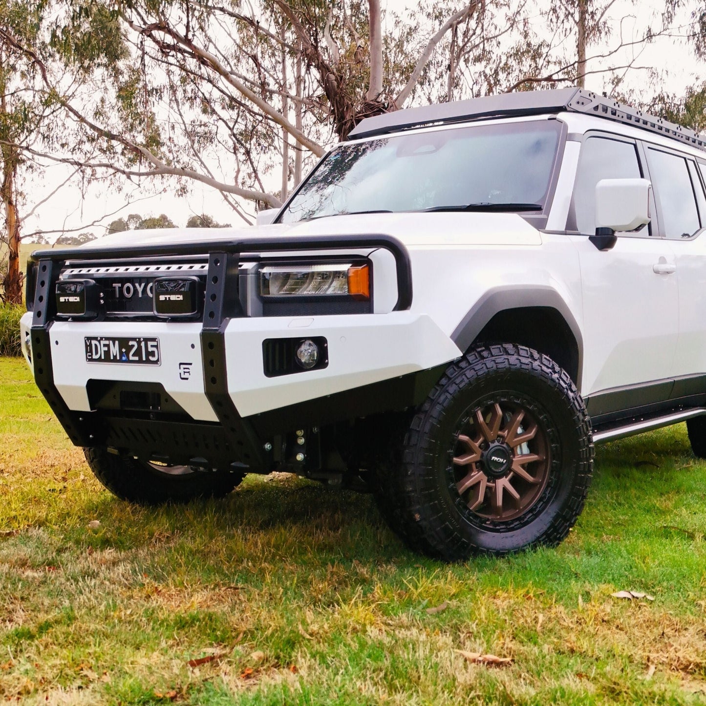 250 Series Toyota Landcruiser Prado Hooped (Dallas) Bull Bar