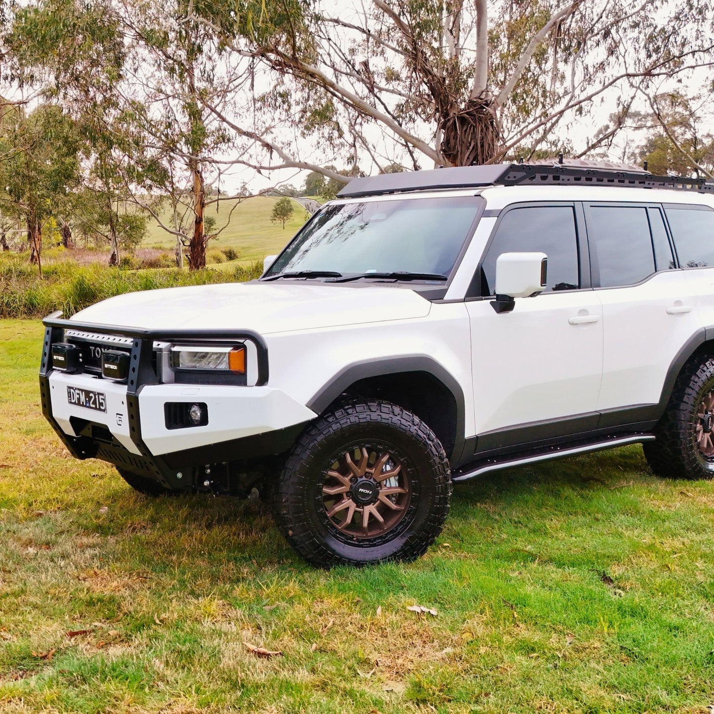 250 Series Toyota Landcruiser Prado Hooped (Dallas) Bull Bar