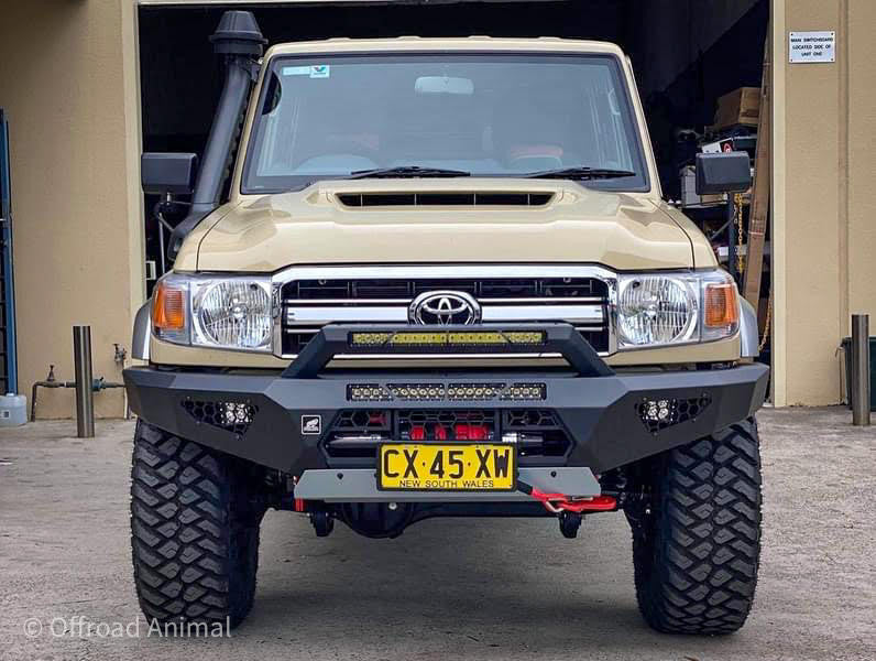 Predator bar with stealth hoop
