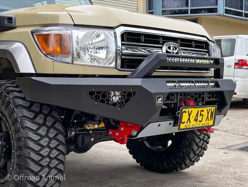 Predator bar with stealth hoop