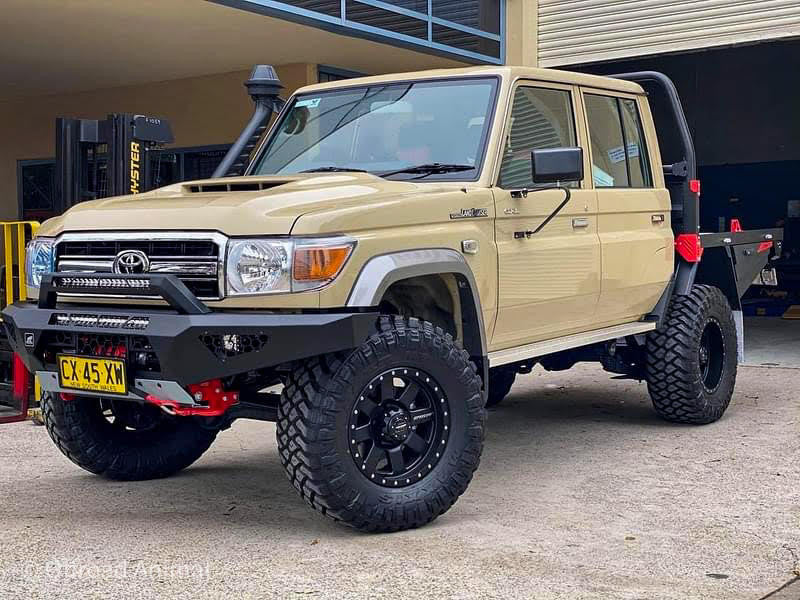 Predator bar with stealth hoop