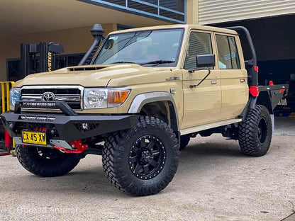 Predator bar with stealth hoop